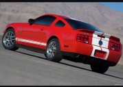 Shelby Cobra GT500 Show Car